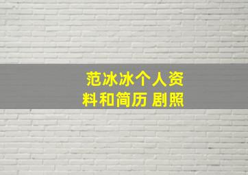 范冰冰个人资料和简历 剧照